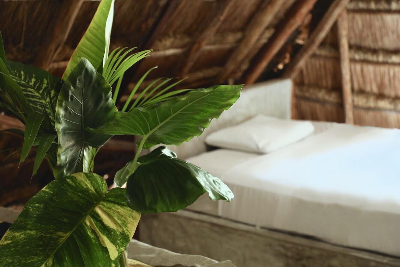 Tuup Jungle Aparthotel Tulum Exterior photo